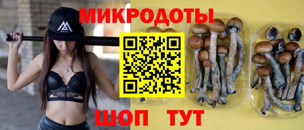 Псилоцибиновые грибы мицелий Углич